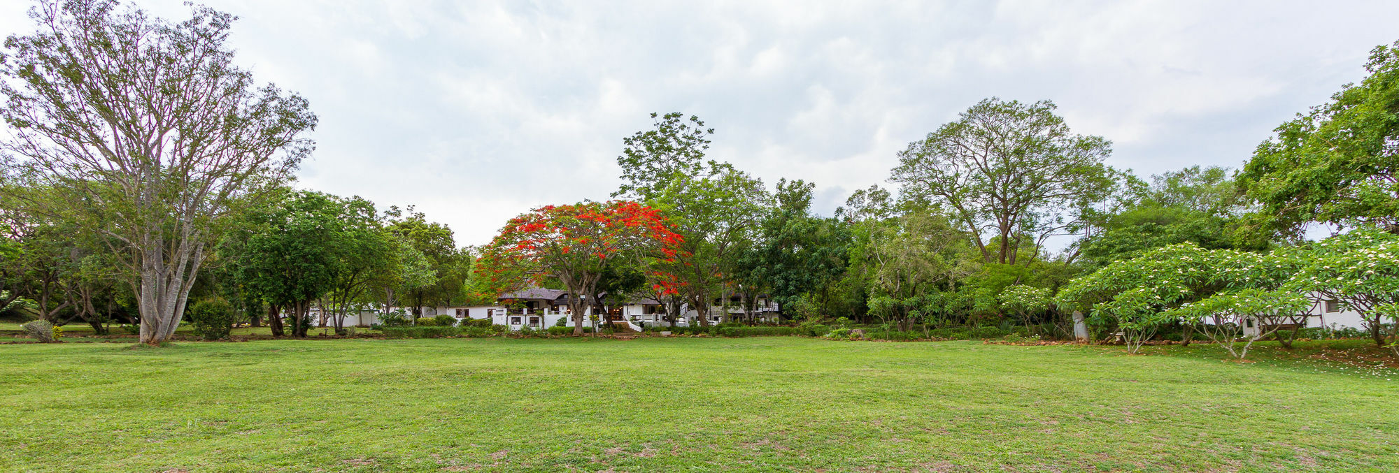 Rissington Inn Hazyview Dış mekan fotoğraf